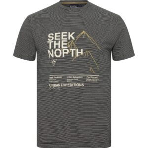 North latitude stribet yarndyed t-shirt med print og brodering grå