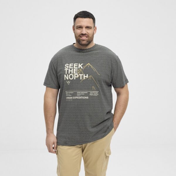 North latitude stribet yarndyed t-shirt med print og brodering grå - Billede 3