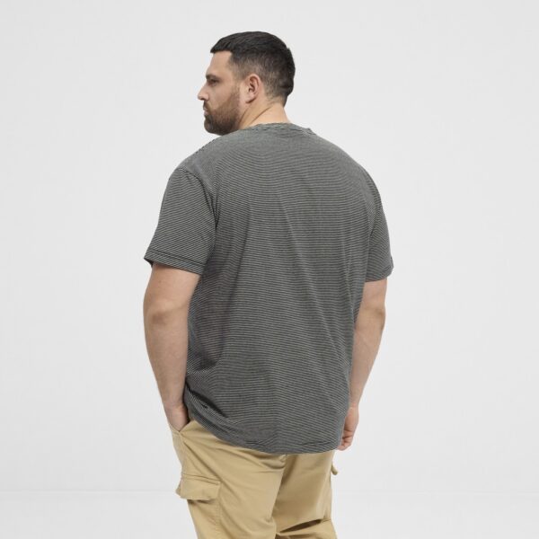 North latitude stribet yarndyed t-shirt med print og brodering grå - Billede 4