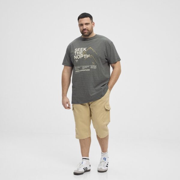 North latitude stribet yarndyed t-shirt med print og brodering grå - Billede 5
