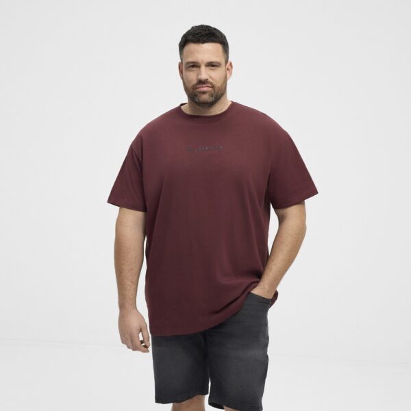 North latitude t-shirt printed Bordeaux - Billede 5
