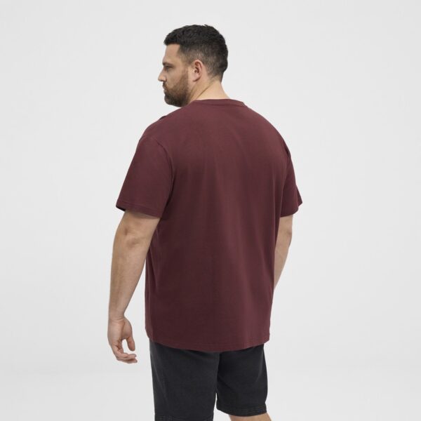 North latitude t-shirt printed Bordeaux - Billede 4