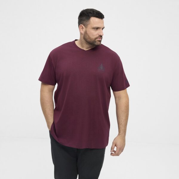 North latitude printet t-shirt v-hals bordeaux - Billede 2