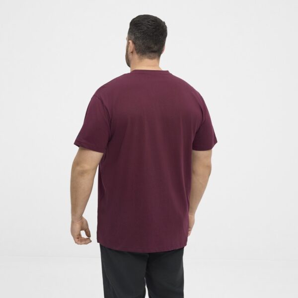 North latitude printet t-shirt v-hals bordeaux - Billede 3
