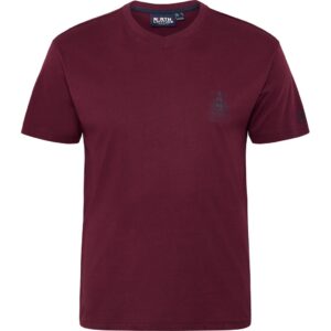 North latitude printet t-shirt v-hals bordeaux