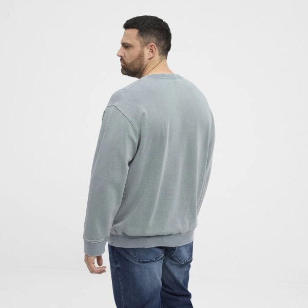 North Latitude afslappet sweatshirt med tryk på brystet lys mint - Billede 3