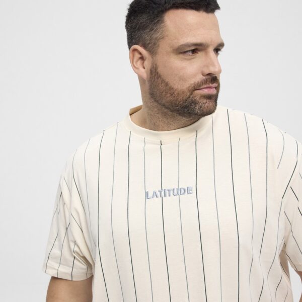 North latitude denim stribet t-shirt off hvid - Billede 5