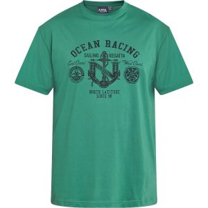 North Latitude T-Shirt mit grafischem Aufdruck und lockerer Passform grün
