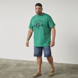 North Latitude T-shirt with graphic print and relaxed fit – green