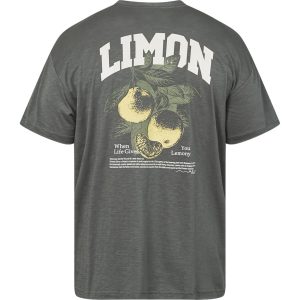 North Latitude lockere Passform mit Rückenaufdruck dunkelstaubgrün TALL