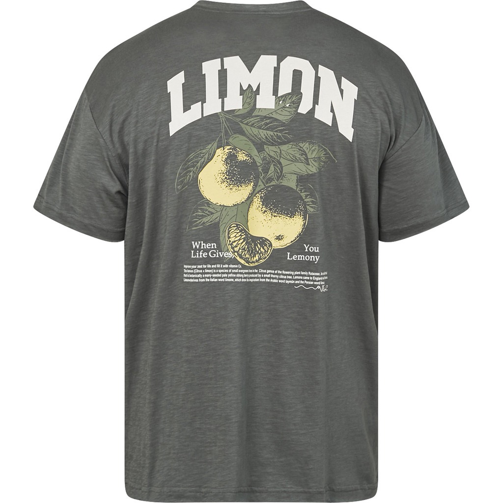 North Latitude afslappet pasform med back print mørk dust grøn