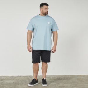 North Latitude lækker bomuld printet t-shirt i en lys duset blå