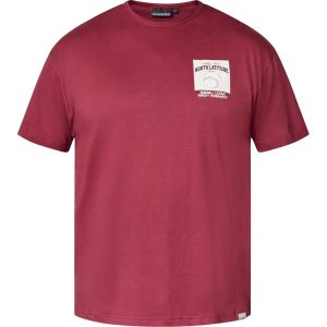North Latitude t-shirt med lille print vin rød