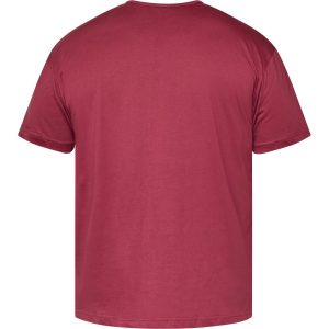 North Latitude t-shirt med lille print vin rød