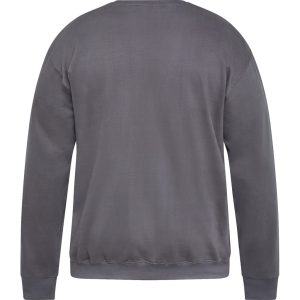 North Latitude sweat shirt med print koks grå